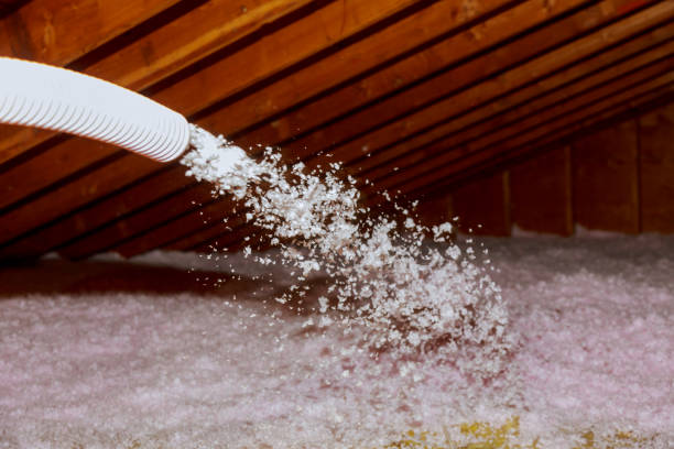 Professional Insulation Contractor in Wilson Conococheague, MD