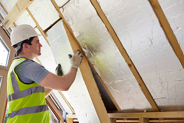 Best Geographic-Specific Insulation Services in Wilson Conococheague, MD